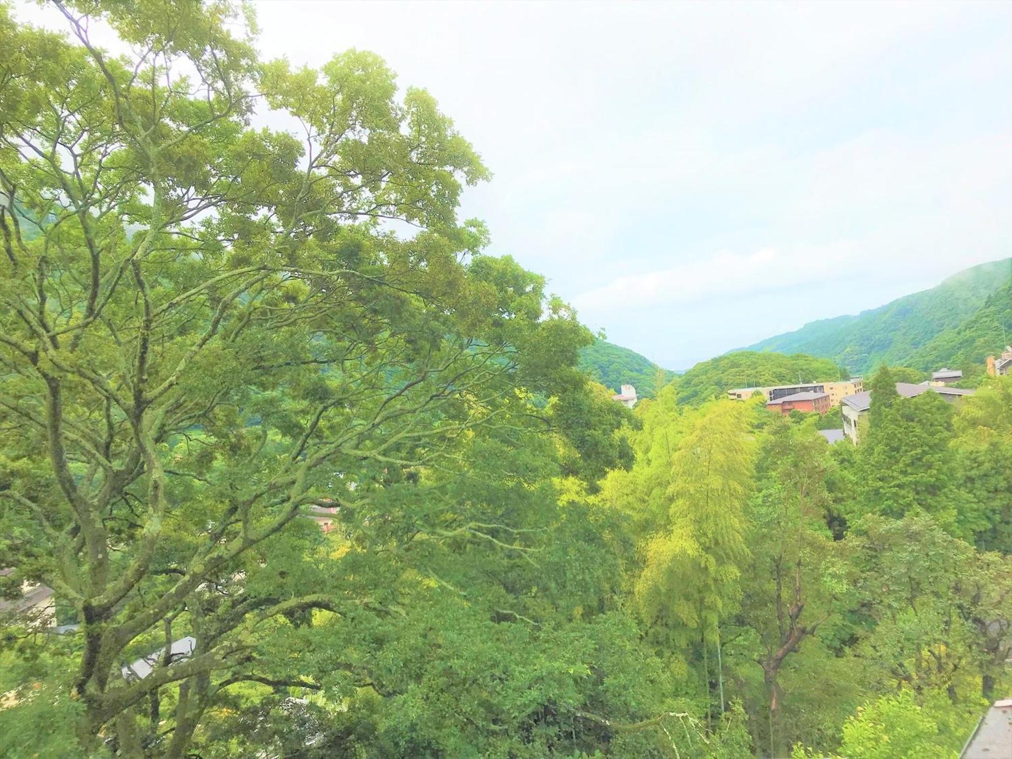 K'S House Hostels - Hakone Yumoto Onsen Phòng bức ảnh
