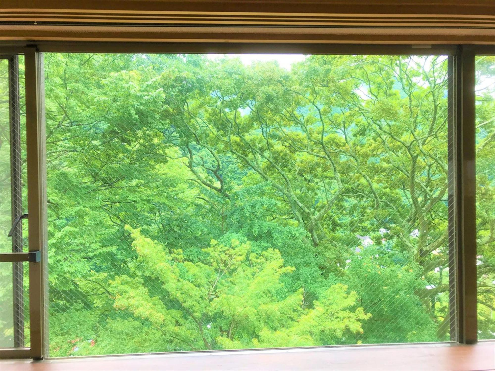 K'S House Hostels - Hakone Yumoto Onsen Phòng bức ảnh
